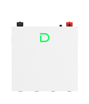 dingshifuben-585.png